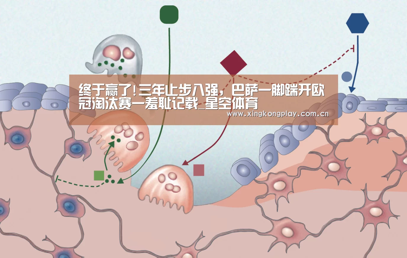 星空体育官网