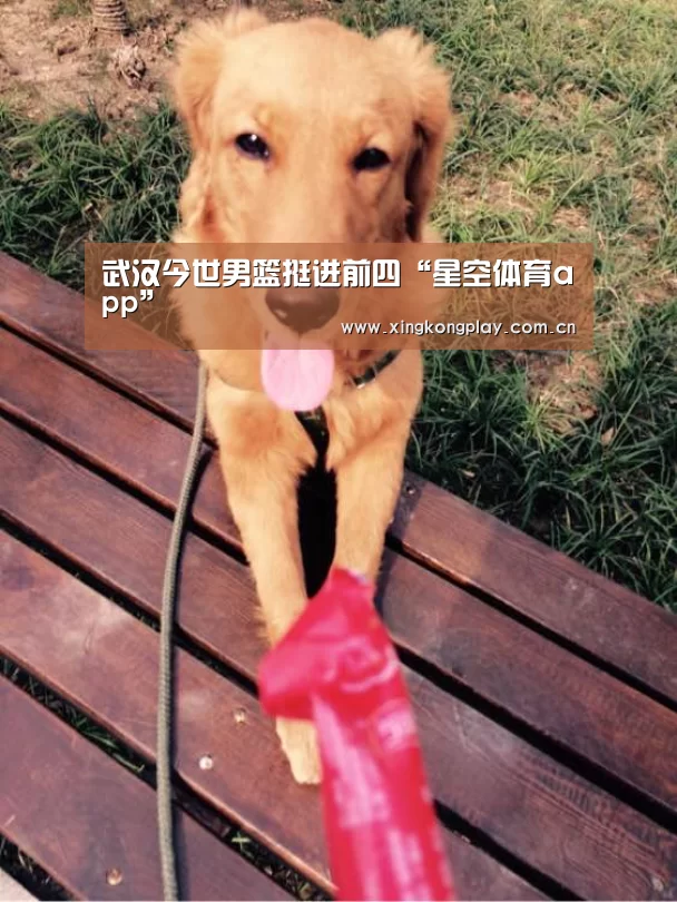 星空体育下载